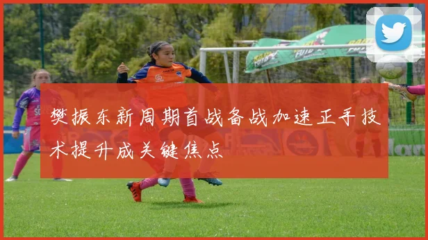樊振东新周期首战备战加速正手技术提升成关键焦点